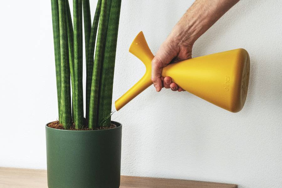 A hand watering a plant with a with treated water from a water softener in San Antonio TX