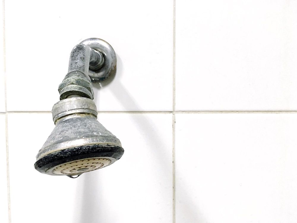 Close-up of hard water buildup on a showerhead in a Texas home, showing limescale deposits that professional water softener installation helps prevent.